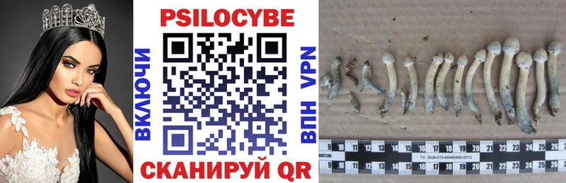 KRAKEN ссылки  Кизляр  Псилоцибиновые грибы Psilocybine cubensis 
